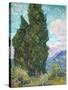 Cypresses-Vincent van Gogh-Stretched Canvas