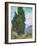 Cypresses-Vincent van Gogh-Framed Giclee Print