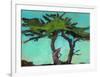 Cypresses-Paul Bailey-Framed Art Print