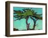 Cypresses-Paul Bailey-Framed Art Print