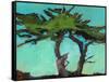 Cypresses-Paul Bailey-Framed Stretched Canvas