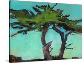 Cypresses-Paul Bailey-Stretched Canvas