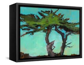 Cypresses-Paul Bailey-Framed Stretched Canvas