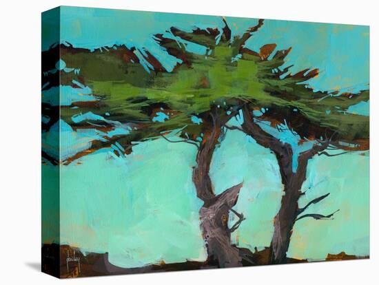 Cypresses-Paul Bailey-Stretched Canvas