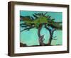 Cypresses-Paul Bailey-Framed Art Print