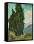 Cypresses-Vincent van Gogh-Framed Stretched Canvas