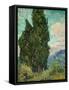 Cypresses-Vincent van Gogh-Framed Stretched Canvas