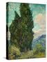 Cypresses-Vincent van Gogh-Stretched Canvas