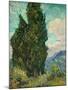 Cypresses-Vincent van Gogh-Mounted Giclee Print