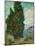 Cypresses-Vincent van Gogh-Mounted Giclee Print