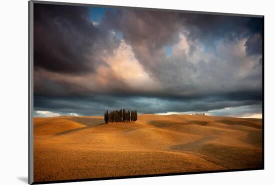 Cypresses-Marcin Sobas-Mounted Photographic Print