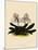 Cypripedium Godefroyae-John Nugent Fitch-Mounted Giclee Print