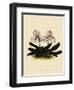 Cypripedium Godefroyae-John Nugent Fitch-Framed Giclee Print