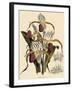 Cypripedium Stonei-John Nugent Fitch-Framed Giclee Print