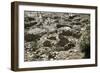 Cyprus, Khirokitia, Archaeological Site, Neolithic Age, Ruins of Houses, Fourth Millennium B.C.-null-Framed Giclee Print