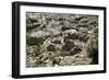 Cyprus, Khirokitia, Archaeological Site, Neolithic Age, Ruins of Houses, Fourth Millennium B.C.-null-Framed Giclee Print