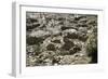 Cyprus, Khirokitia, Archaeological Site, Neolithic Age, Ruins of Houses, Fourth Millennium B.C.-null-Framed Giclee Print