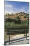 Cyprus, Surrounding of Larnaca, Neolithic Site of Choirokoitia or Khirokitia, Welcome Sign-null-Mounted Giclee Print