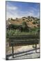 Cyprus, Surrounding of Larnaca, Neolithic Site of Choirokoitia or Khirokitia, Welcome Sign-null-Mounted Giclee Print