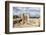 Cyrene, UNESCO World Heritage Site, Founded in 630 Bc, Libya, North Africa, Africa-Oliviero Olivieri-Framed Photographic Print