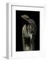 Cyrtodactylus Pulchellus (Malayan Forest Gecko)-Paul Starosta-Framed Photographic Print