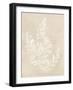 Cystoseira Faeniculacea - Fawn-Henry Bradbury-Framed Giclee Print