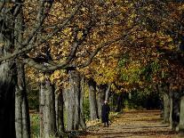 A Man Strolls Through Lazienki Park on a Crisp Autumn Morning in Warsaw, Poland, October 30, 2006-Czarek Sokolowski-Framed Stretched Canvas
