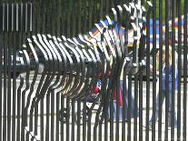 A Zebra on the Front Gate of the 75-Year-Old Zoo in Warsaw, Poland,June 24, 2003-Czarek Sokolowski-Laminated Photographic Print