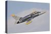 Czech Air Force Aero L-39C Albatros Jet Trainer-null-Stretched Canvas