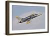 Czech Air Force Aero L-39C Albatros Jet Trainer-null-Framed Photographic Print