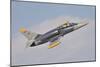 Czech Air Force Aero L-39C Albatros Jet Trainer-null-Mounted Photographic Print