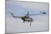 Czech Air Force Mi-171 Hips Training for Service-null-Mounted Photographic Print