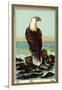 Czech English Cotton Label with Bald Eagle-null-Framed Giclee Print