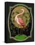 Czech English Cotton Label with Pink Ibis-null-Framed Stretched Canvas