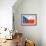 Czech Flag-daboost-Framed Art Print displayed on a wall