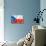 Czech Flag-daboost-Stretched Canvas displayed on a wall