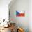 Czech Flag-daboost-Stretched Canvas displayed on a wall