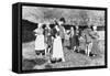 Czech Peasants Dancing-null-Framed Stretched Canvas