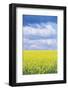 Czech Republic, Bohemia, Canola Field and Clouds-Rob Tilley-Framed Photographic Print