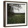 Czech Republic, Bohemia, Cesky Brod, Neolithic Settlement of Bylany-null-Framed Giclee Print