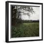 Czech Republic, Bohemia, Cesky Brod, Neolithic Settlement of Bylany-null-Framed Giclee Print