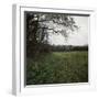 Czech Republic, Bohemia, Cesky Brod, Neolithic Settlement of Bylany-null-Framed Giclee Print