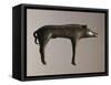 Czech Republic, Bohemia, Sarka, Votive Statuette Representing a Wild Boar, La Tene Culture, Bronze-null-Framed Stretched Canvas