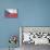 Czech Republic Country Flag - Barnwood Painting-Lantern Press-Stretched Canvas displayed on a wall