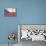 Czech Republic Country Flag - Barnwood Painting-Lantern Press-Art Print displayed on a wall