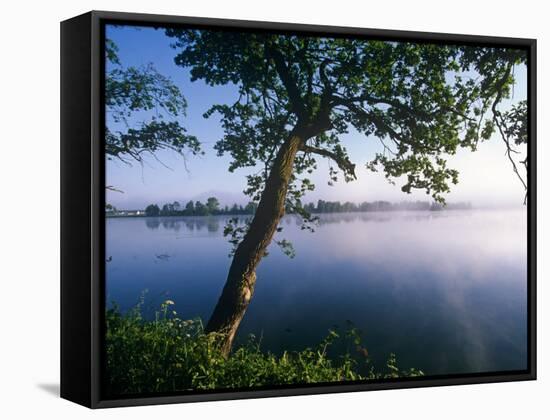 Czech Republic, Fishponds and Wetlands, Trebon-Paul Harris-Framed Stretched Canvas