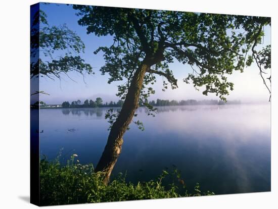 Czech Republic, Fishponds and Wetlands, Trebon-Paul Harris-Stretched Canvas