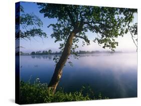 Czech Republic, Fishponds and Wetlands, Trebon-Paul Harris-Stretched Canvas