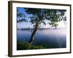 Czech Republic, Fishponds and Wetlands, Trebon-Paul Harris-Framed Photographic Print