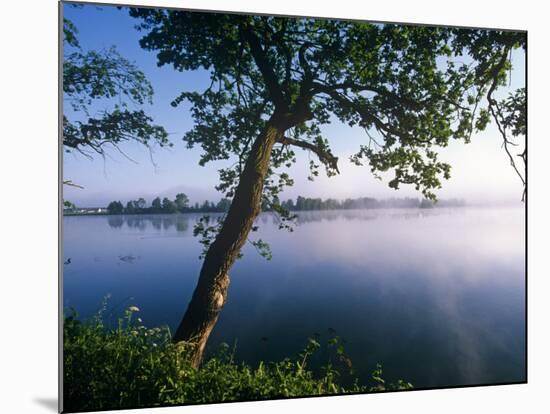 Czech Republic, Fishponds and Wetlands, Trebon-Paul Harris-Mounted Photographic Print